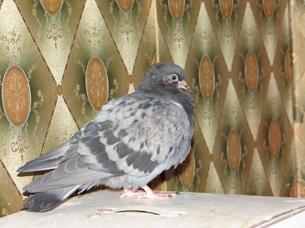 DSC05563.JPG