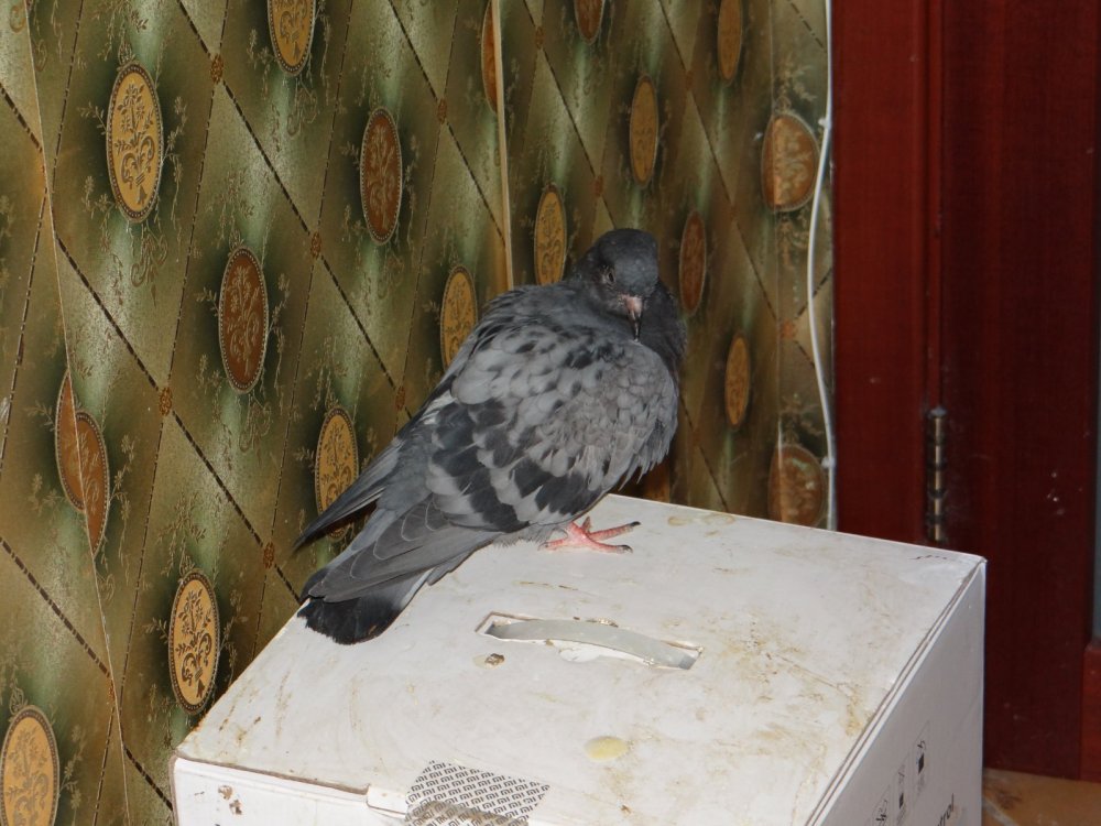 DSC05564.JPG