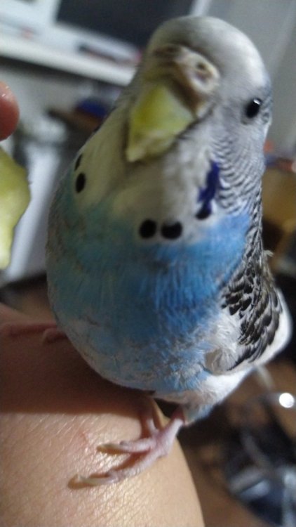 IMG-20240112-WA0102.jpeg