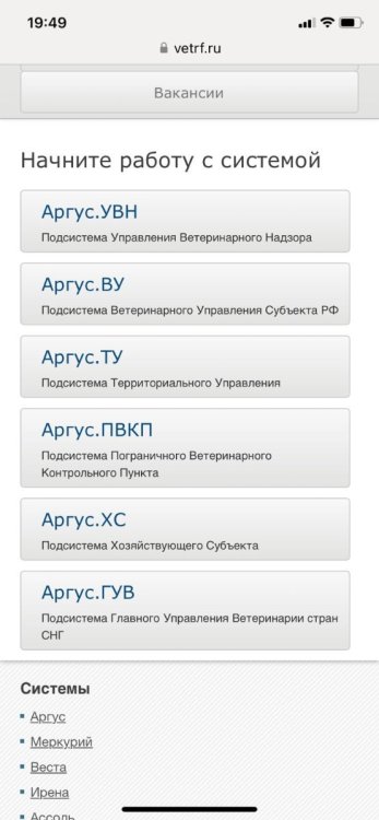 Изображение WhatsApp 2024-01-20 в 19.49.20_12cdfab9.jpg