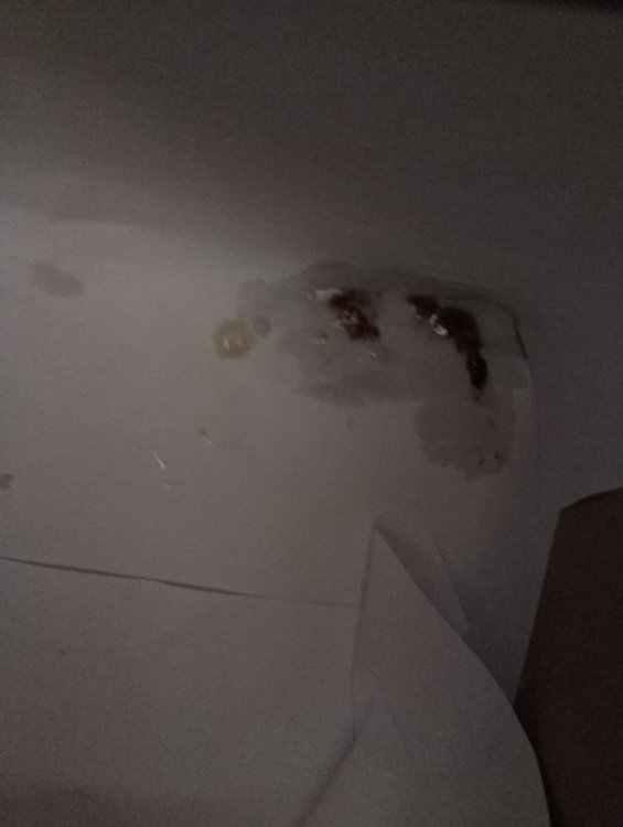 17170077199536648152895918743450.thumb.jpg.d5a8cf6925415c03e9805501dd6a8c0d.jpg