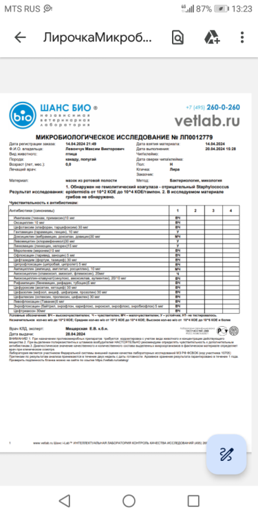 Screenshot_20240523-132334.png