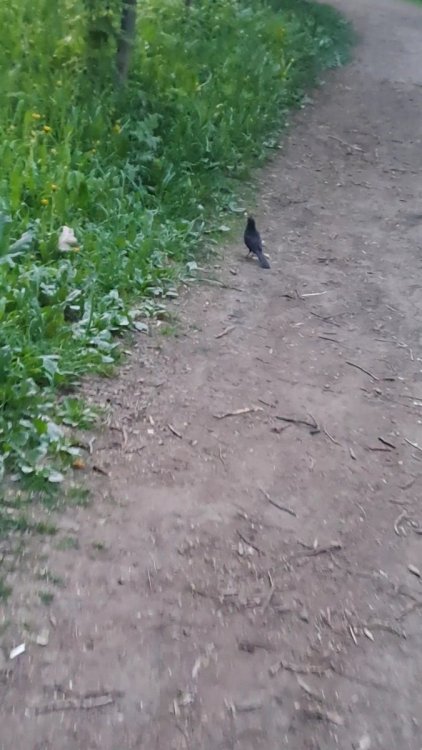 VideoCapture_20240520-225018.jpg