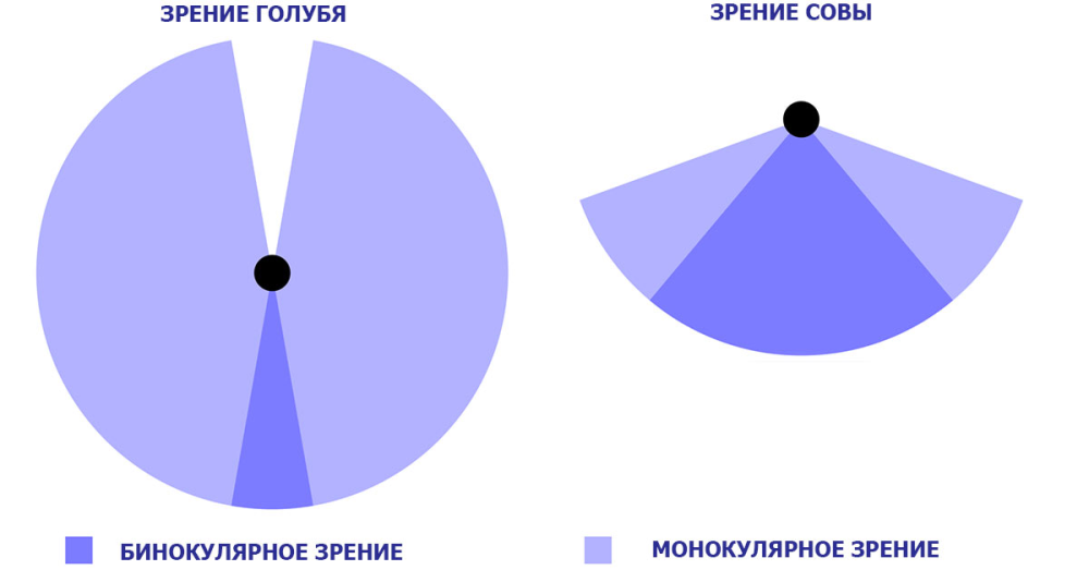 scale_2400.thumb.png.78e72d5bedb90f320bb8a2419593e955.png