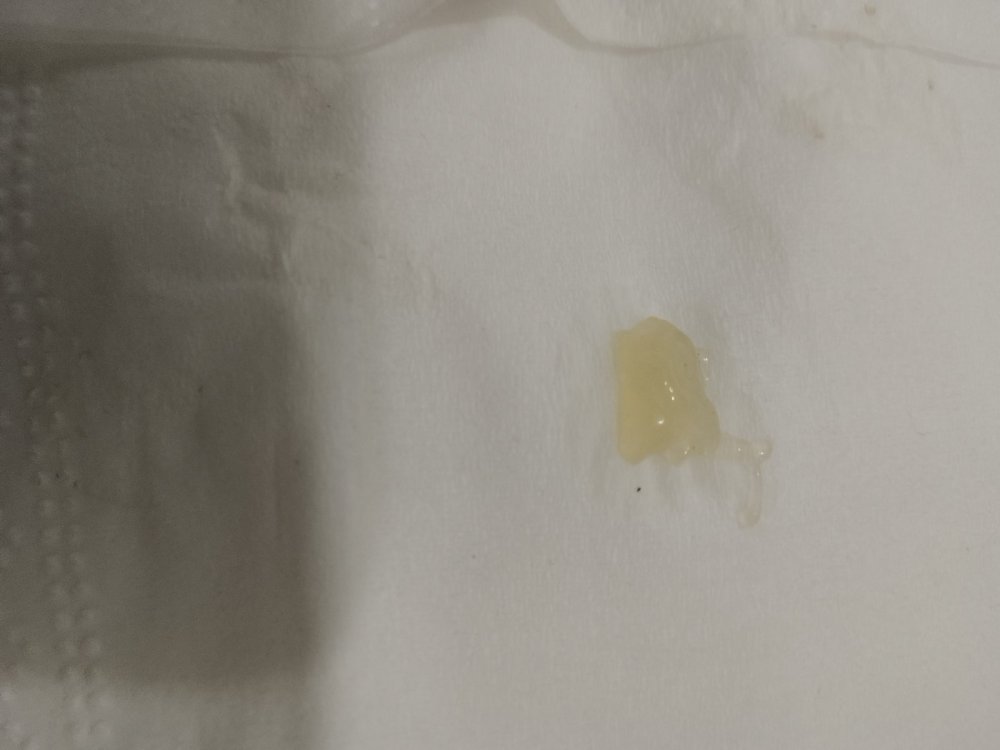IMG_20240625_012010.thumb.jpg.a7f68a7ed301a21c36865224374ea498.jpg