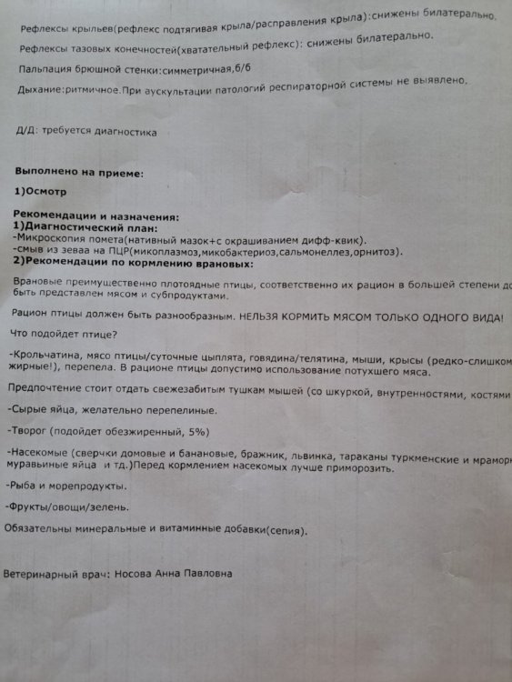 WhatsApp Image 2024-06-28 at 09.02.44.jpeg