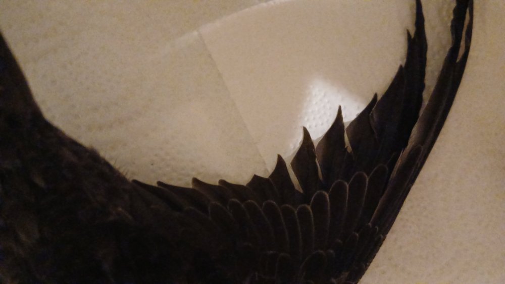 20240807_215152.jpg