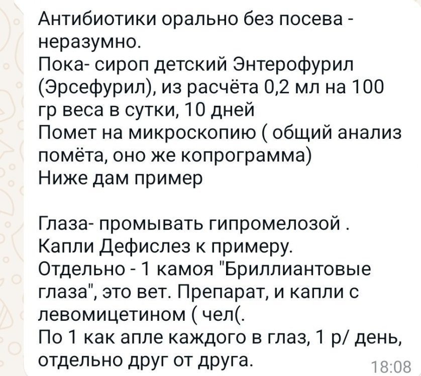 Screenshot_20240906_211655_WhatsApp.jpg