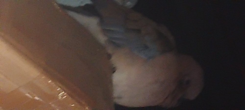 20241023_170157.thumb.jpg.8a1dc5fdbb9e538055801eec994fede7.jpg
