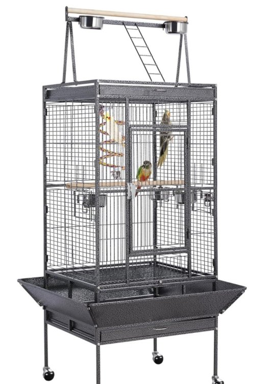Screenshot_20241130_021853_Amazon Shopping.jpg