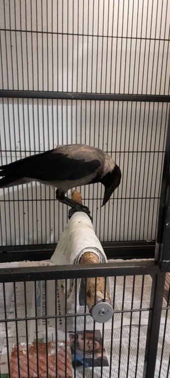 VideoCapture_20250118-195116.jpg
