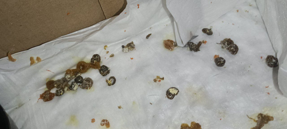 image.thumb.png.f03921af2db9322d63683b32d9d14dff.png