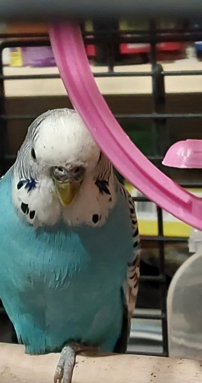 20250324_210108.jpg