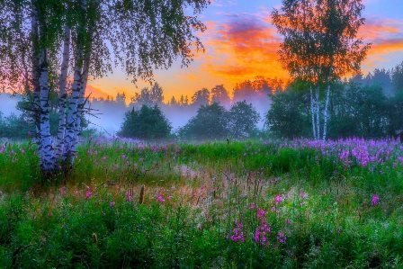 5919(1).jpg.c71904dd4b9e0cf3af39667b194e7e19.jpg