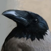 anemerk
