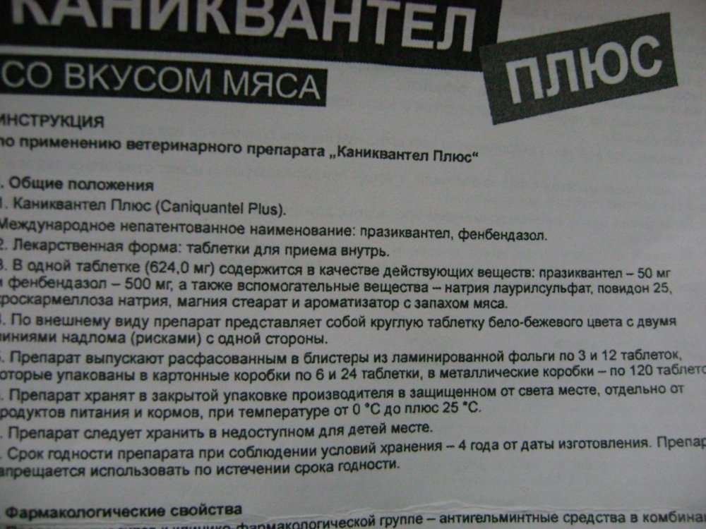 DSC00115.JPG