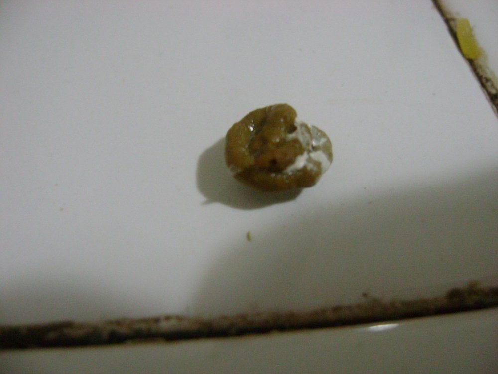 DSC00141.JPG