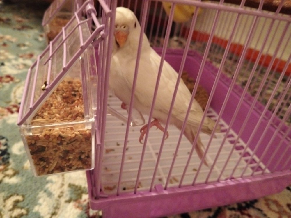 IMG-20250329-WA0035.jpeg