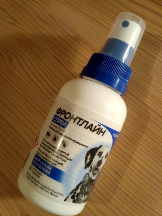 IMG_20250324_010214_HDR.thumb.jpg.5cf95b230fc21b994b4a166a184174db.jpg