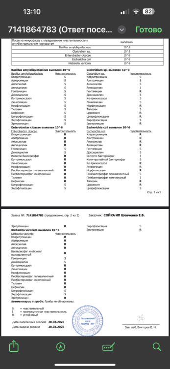 IMG_2587.thumb.png.9cc862ea0197010cd044a662342f5686.png