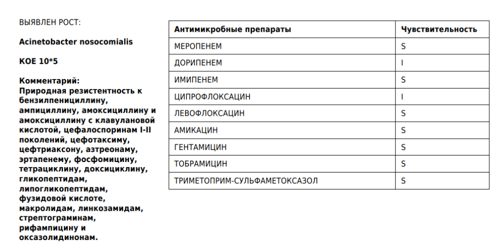 изображение_2025-03-16_164941897.png