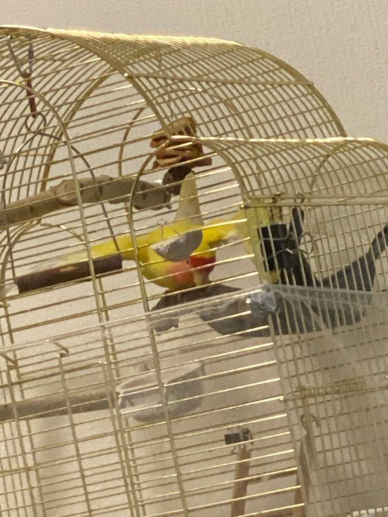 camphoto_1254324197.jpeg