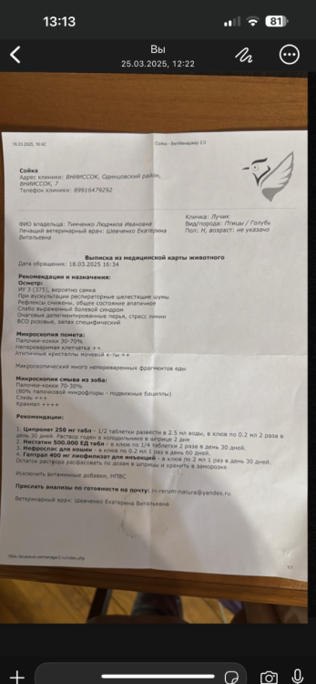 image.thumb.png.02a872a18ae5ff27b55576fb4b9fc37c.png