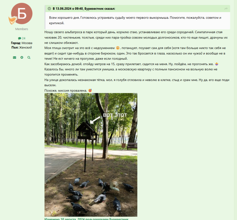 image.thumb.png.216ecf5c8ef042b14b677df21059e387.png