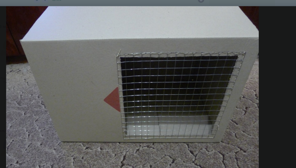 image.thumb.png.db073d265900c07005800a1b8fd1cc94.png