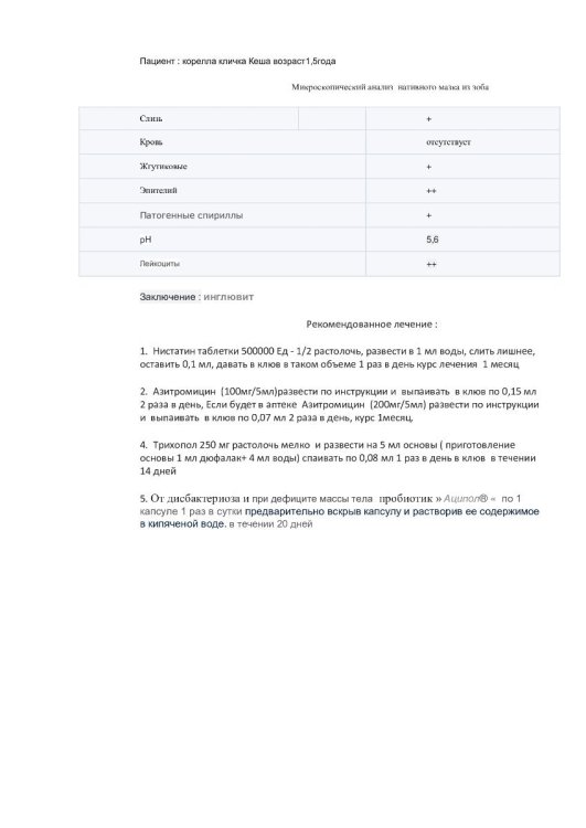 Документ-Microsoft-Word-_2_.jpg