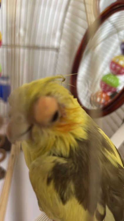 08425ada-3263-48b1-80b1-e4b7f33b8fcf.jpeg