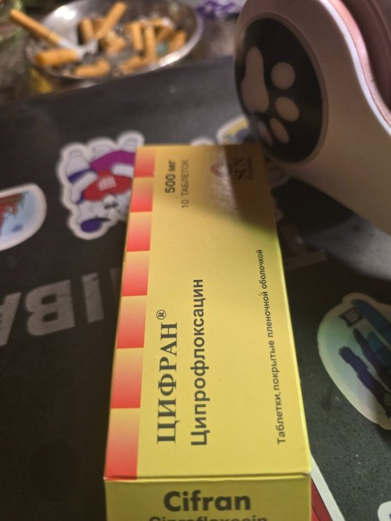 17456066474492191975500310516923.jpg
