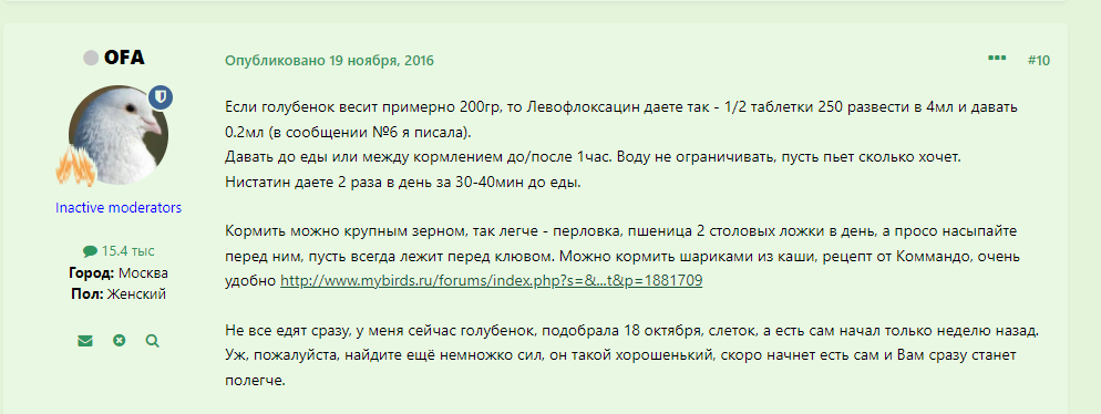 2025-04-09_11-12-40.png.8977e12c8ffec776558e2e28d0acc09b.png