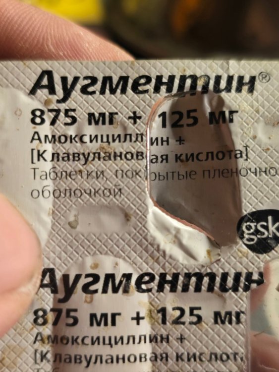 20250425_221739.jpg
