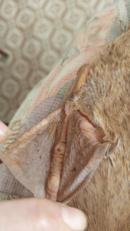 IMG-20250412-WA0028.jpeg
