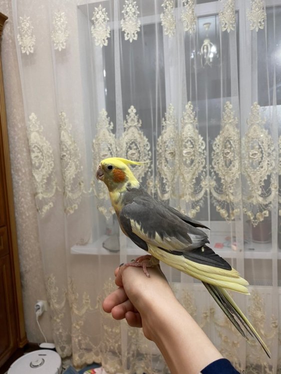 IMG_7859.jpeg