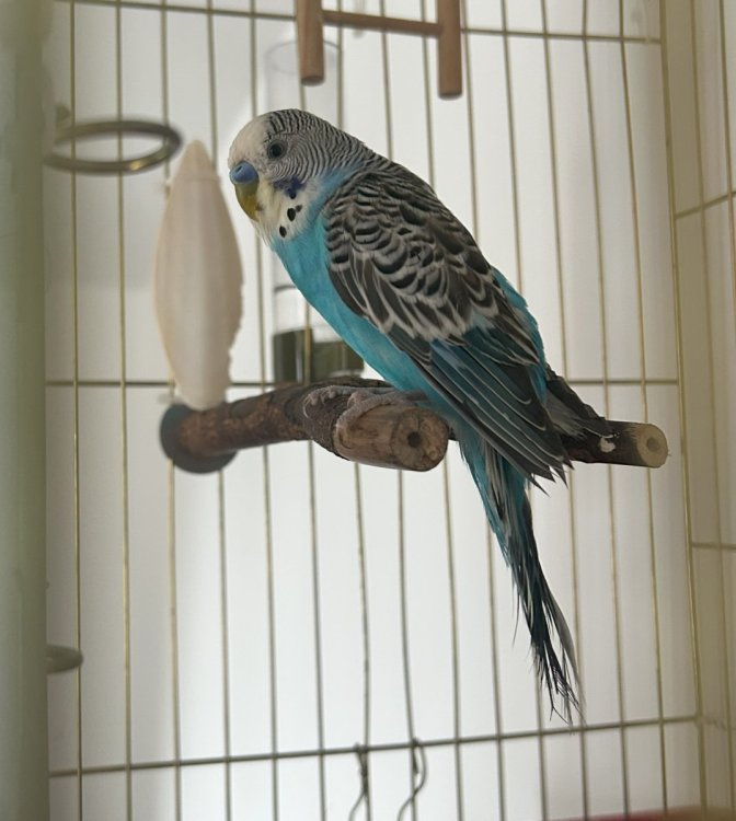 IMG_7942.jpg