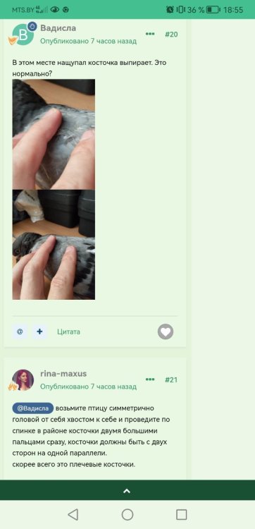 Screenshot_20250404_185513_com.android.chrome.jpg