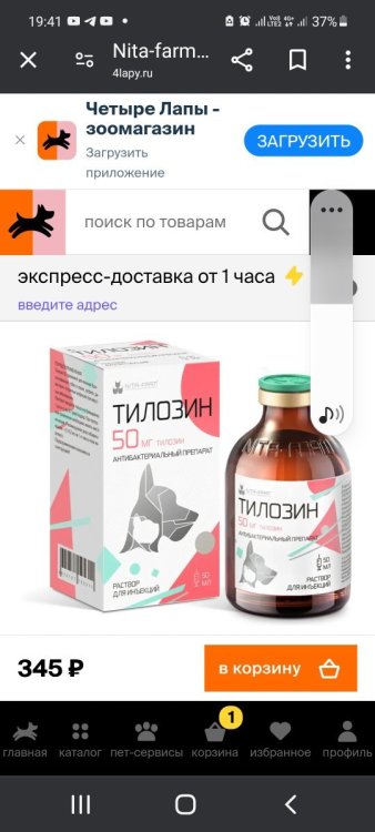 Screenshot_20250414-194127_Chrome.jpg