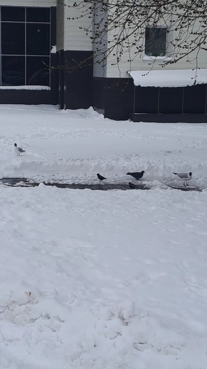 VideoCapture_20250409-155043.jpg