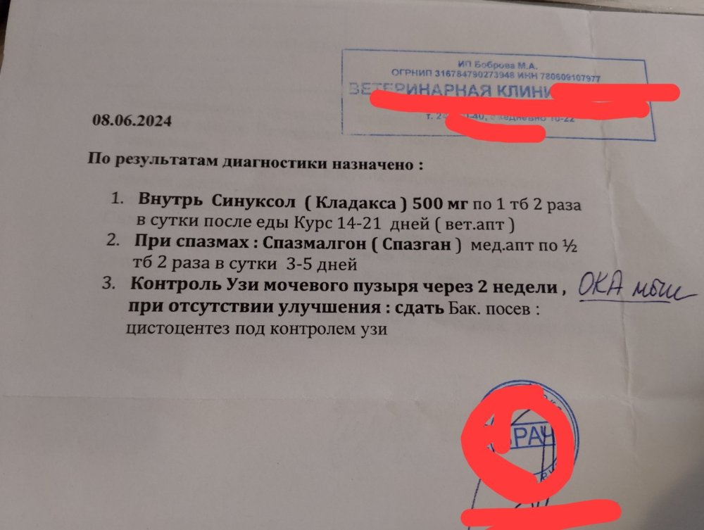 1747902722881.jpg
