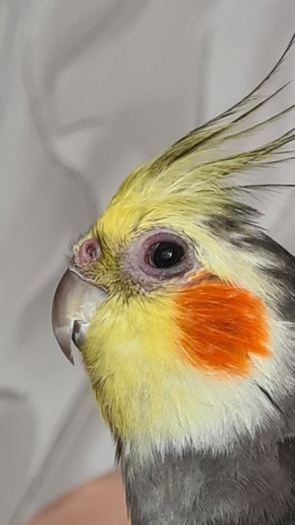20250425_134500.jpg