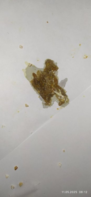IMG_20250511_081224.jpg