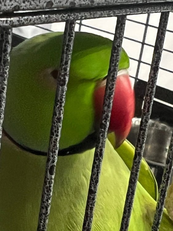IMG_3398.jpeg