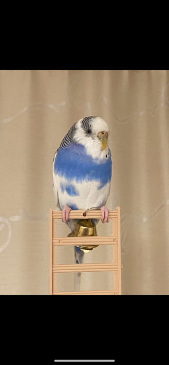 IMG_3473.png