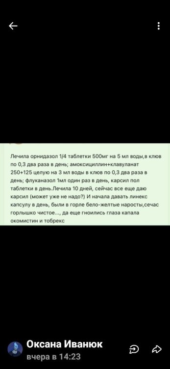 Screenshot_20250502_000638_VK.jpg