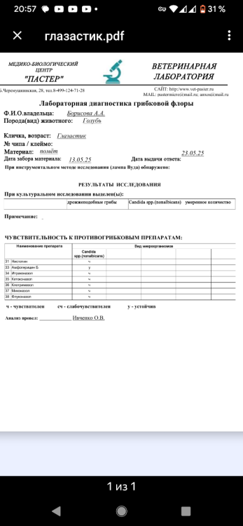 Screenshot_20250523-205758_Яндекс Почта.png
