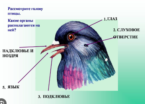 image.png.3cfbbe5ea69a973bfb12cda7bb0d8946.png