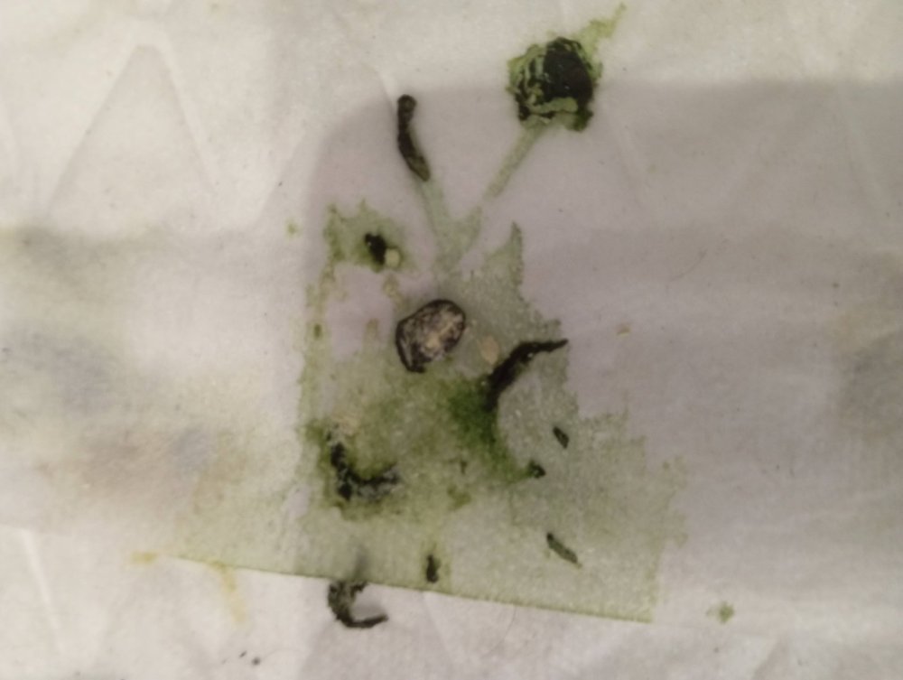 unnamed(19).thumb.jpg.fed28b7a8c339d5b28f5d698feb01cf3.jpg