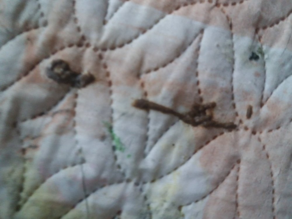 20250609_205527.jpg